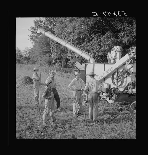 Untitled photo, possibly related to: Cooperative oat thrasher, purchased by E.H. Lester through FSA (Farm Security Administration) community co-op service loan. West Carroll Parish, Louisiana