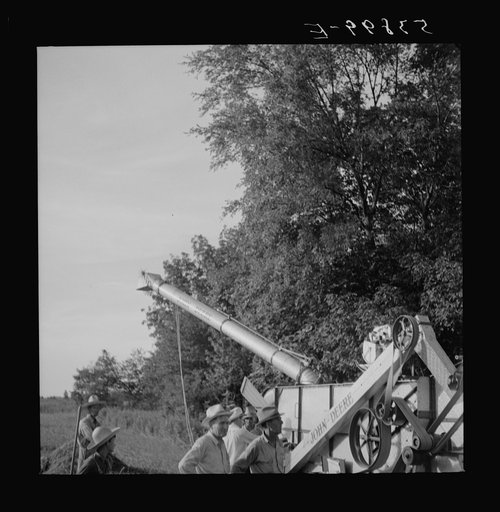 Untitled photo, possibly related to: Cooperative oat thrasher, purchased by E.H. Lester through FSA (Farm Security Administration) community co-op service loan. West Carroll Parish, Louisiana