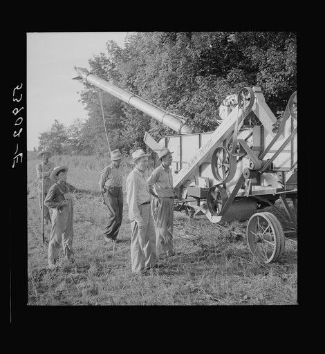 Untitled photo, possibly related to: Cooperative oat thrasher, purchased by E.H. Lester through FSA (Farm Security Administration) community co-op service loan. West Carroll Parish, Louisiana