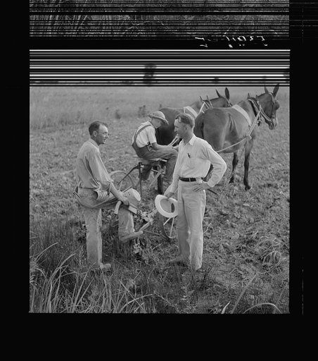 Untitled photo, possibly related to: Farm Supervisor talking to one of the project farmers. Transylvania, Louisiana