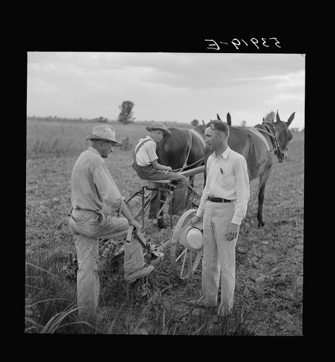 Farm Supervisor talking to one of the project farmers. Transylvania, Louisiana