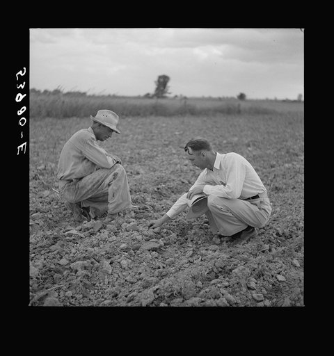 Untitled photo, possibly related to: Farm Supervisor talking to one of the project farmers. Transylvania, Louisiana