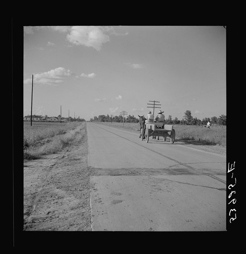 Going to store. Transylvania, Louisiana