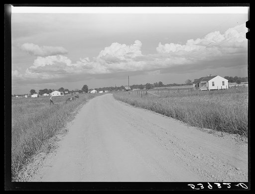 General view of Transylvania Project, Louisiana, road and homes