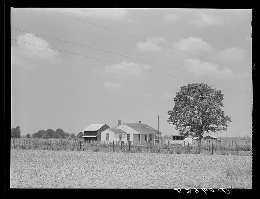 Project family's home, with garden, chicken house and barn. Transylvania Project, Louisiana