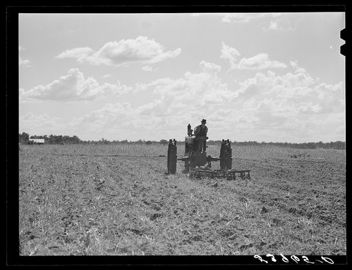 One of the project tractors plowing and discing new land. Transylvania Project, Louisiana