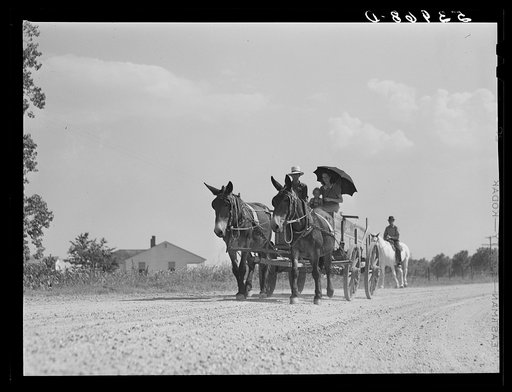 One of project families going home after purchasing supplies and groceries at their co-op store. Transylvania Project, Louisiana