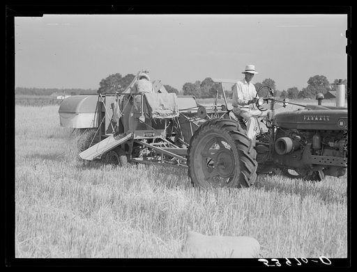 Golus Skipper and A.L. Ross threshing Willy D. Anglin's oats with co-op association binder. Transylvania Project, Louisiana