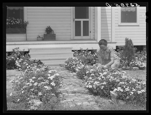 Mrs. J.G. Stanley cutting flowers in front of her home. Transylvania Project, Louisiana