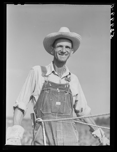 W.D. Anglin cultivating his corn with his pair of mares. Transylvania Project, Louisiana