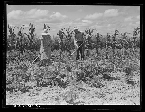 Mr. and Mrs. John M. Washam hoeing in their garden. Transylvania Project, Louisiana