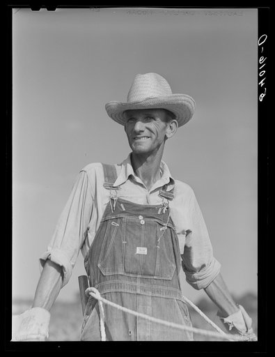 Untitled photo, possibly related to: W.D. Anglin cultivating his corn with his pair of mares. Transylvania Project, Louisiana