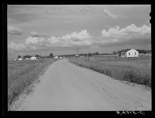 Untitled photo, possibly related to: Project family's home and barns. Transylvania Project, Louisiana