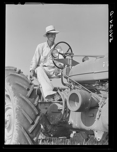 Untitled photo, possibly related to: Golus Skipper and A.L. Ross threshing Willy D. Anglin's oats with co-op association binder. Transylvania Project, Louisiana