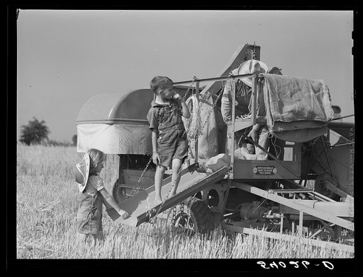 Untitled photo, possibly related to: Golus Skipper on the co-op association's binder while threshing Willy Anglin's oats. Transylvania Project, Louisiana