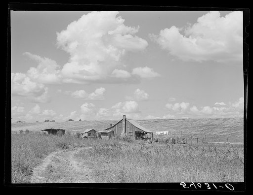 Negro tenant family's home by the Mississippi levee near Lake Providence, Louisiana