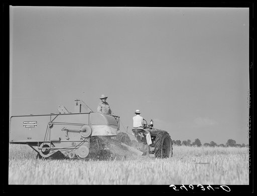 Untitled photo, possibly related to: Golus Skipper and A.L. Ross threshing Willy D. Anglin's oats with co-op association binder. Transylvania Project, Louisiana