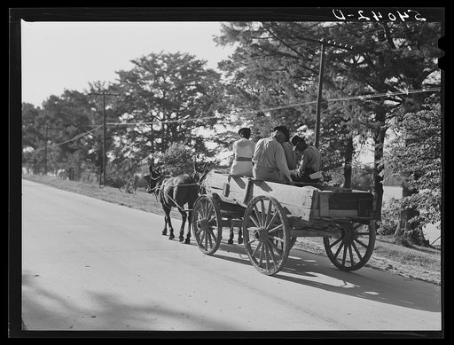 Returning home with wagons loaded with entire family and supplies on Saturday evening. Lake Providence, Louisiana