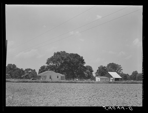 Project family's home and barns. Transylvania Project, Louisiana