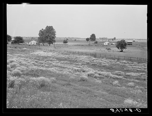 General view of the project from the top of the Mississippi levee. Transylvania Project, Louisiana