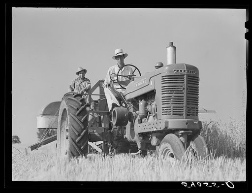 Untitled photo, possibly related to: Golus Skipper and A.L. Ross threshing Willy D. Anglin's oats with co-op association binder. Transylvania Project, Louisiana