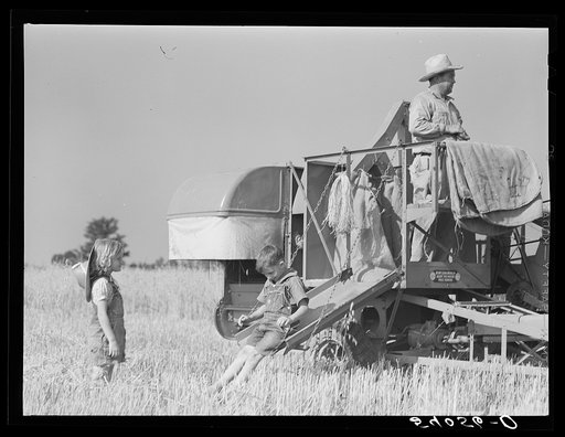 Untitled photo, possibly related to: Golus Skipper on the co-op association's binder while threshing Willy Anglin's oats. Transylvania Project, Louisiana