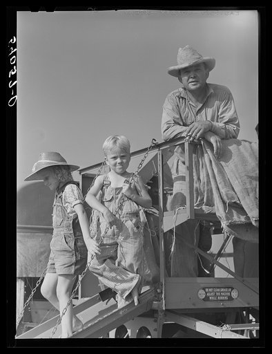 Golus Skipper on the co-op association's binder while threshing Willy Anglin's oats. Transylvania Project, Louisiana