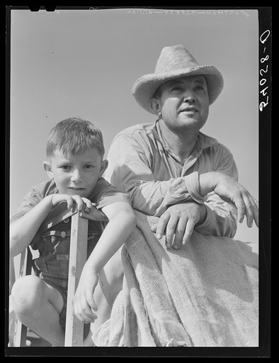 Golus Skipper on the co-op association's binder while threshing Willy Anglin's oats. Transylvania Project, Louisiana