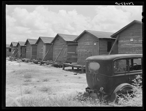 Shacks condemned by board of health, formerly lived in by migratory workers and pickers. Belle Glade, Florida