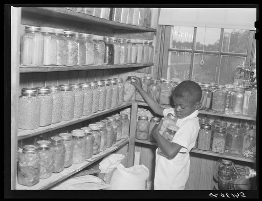 FSA (Farm Security Administration) borrower's son getting some canned goods for dinner out of the pantry in his home. La Delta Project, Thomastown, Louisiana