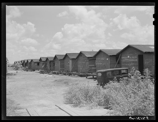 Untitled photo, possibly related to: Shacks condemned by board of health, formerly lived in by migratory workers and pickers. Belle Glade, Florida