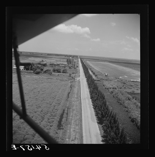 Aerial view near Belle Glade, Florida