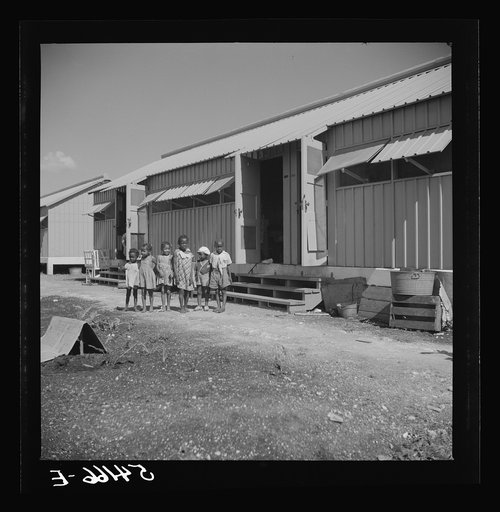 Children of camp members playing outside their shelters in Okeechobee migratory labor camp. Belle Glade, Florida