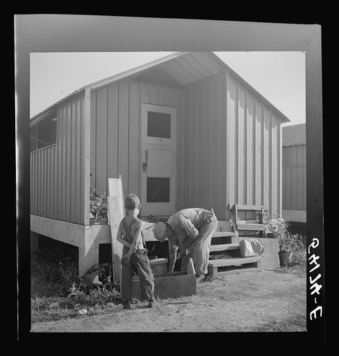 Camp member who does general carpentry work jobs during slack packing house season builds a window box for his shelter at Osceola migratory labor camp. Belle Glade, Florida