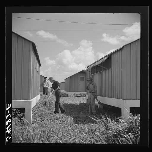 Untitled photo, possibly related to: Camp members cutting the grass, cleaning up and making needed repairs during their work time. They pay one dollar a week for their shelters and must put in two hours additional work time at camp jobs. Osceola migratory labor camp, Belle Glade, Florida