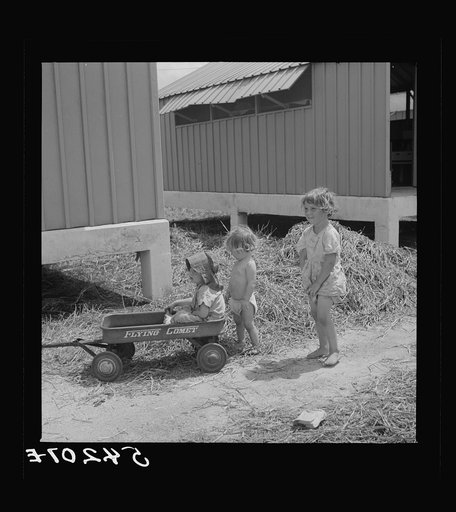 Camp members' children playing outside their shelters at Osceola migratory labor camp. A nursery school and equipped playground is to be provided for them. Belle Glade, Florida