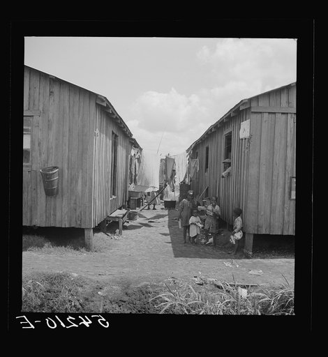 Untitled photo, possibly related to: Some families of vegetable pickers still live in crowded filthy shacks around Belle Glade, Florida