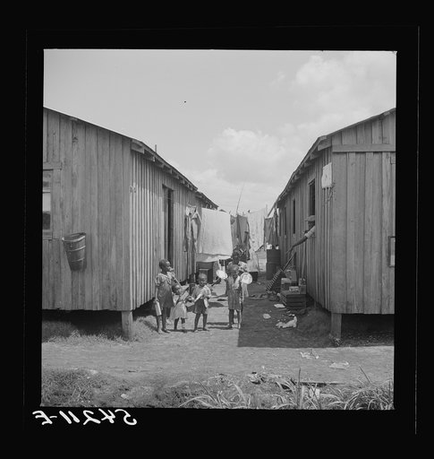 Untitled photo, possibly related to: Some families of vegetable pickers still live in crowded filthy shacks around Belle Glade, Florida