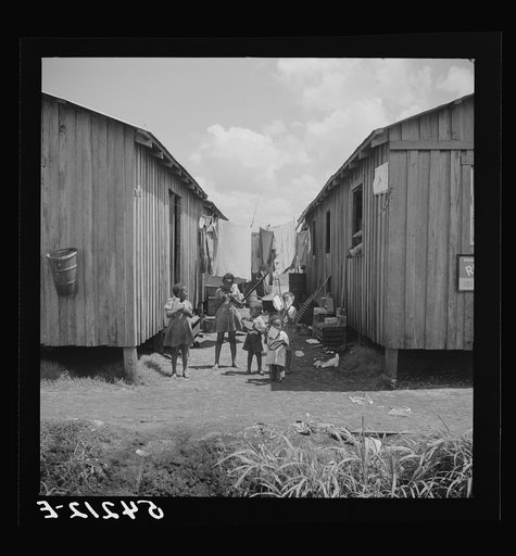 Some families of vegetable pickers still live in crowded filthy shacks around Belle Glade, Florida