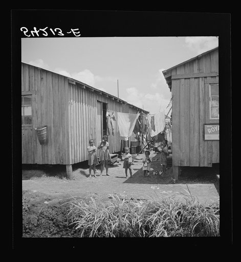 Untitled photo, possibly related to: Some families of vegetable pickers still live in crowded filthy shacks around Belle Glade, Florida