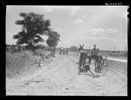 Cultivators and teams leaving central barn at one o'clock to complete their field work during the afternoon. Terrebonne Project, Schriever, Louisiana