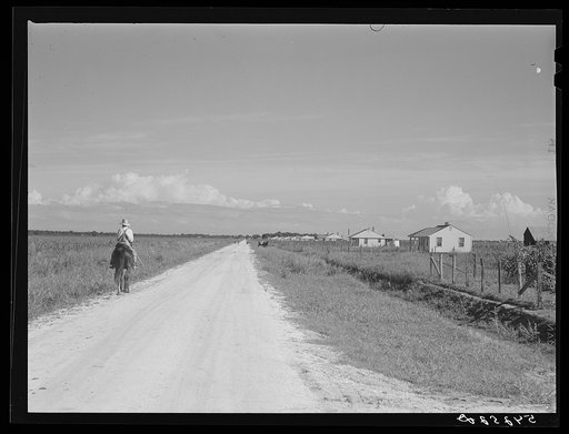 Homes and cornfields on Terrebonne Project, Schriever, Louisiana