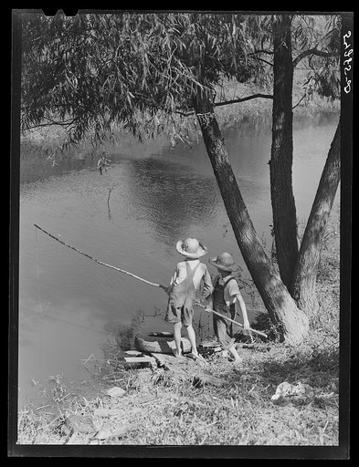 Untitled photo, possibly related to: Cajun children fishing in bayou near the school by Terrebonne Project. Schriever, Louisiana