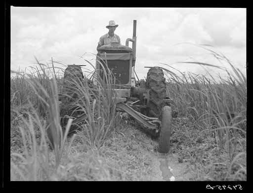 Untitled photo, possibly related to: One of the tractors cultivating sugarcane. Terrebonne Project, Schriever, Louisiana