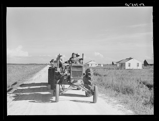 Tractor pulling wagon along project road. Terrebonne Project, Schriever, Louisiana