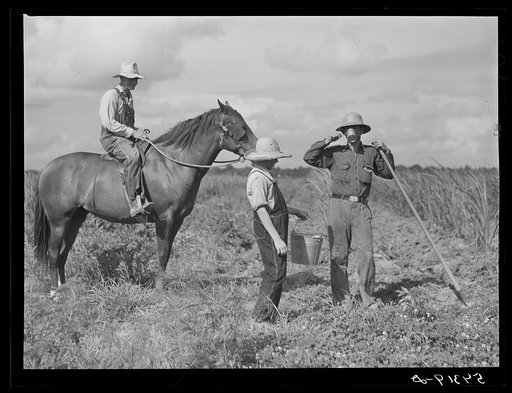 The waterboy brings one of the cooperative members a drink while he chops grass out of sugarcane field. The foreman, chosen by group from among own members, is on horse supervising work. Terrebonne Project, Schriever, Louisiana