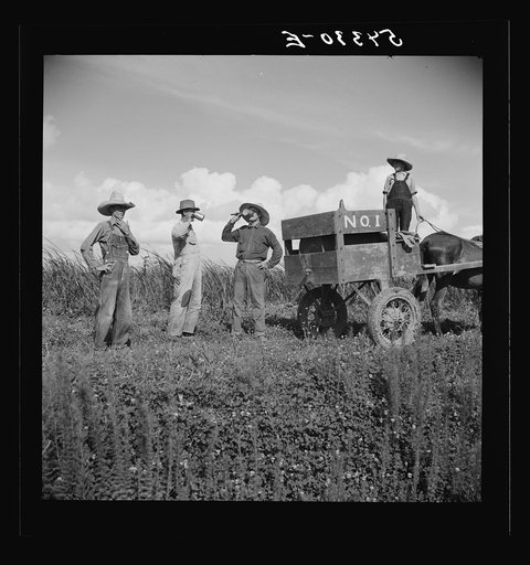 Untitled photo, possibly related to: Terrebonne Project, Schriever, Louisiana