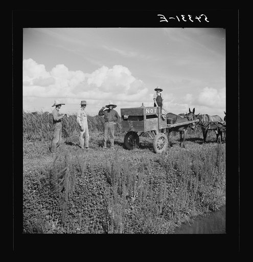 Untitled photo, possibly related to: Terrebonne Project, Schriever, Louisiana