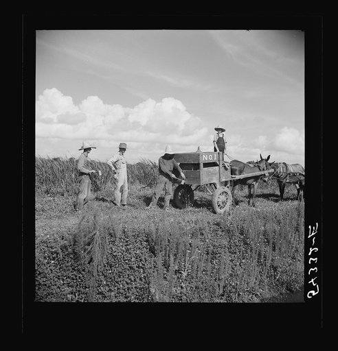Untitled photo, possibly related to: Terrebonne Project, Schriever, Louisiana