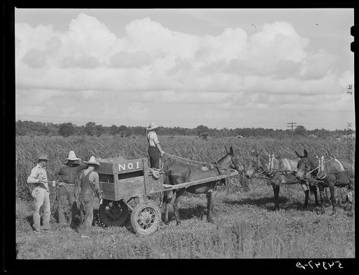 Terrebonne Project, Schriever, Louisiana